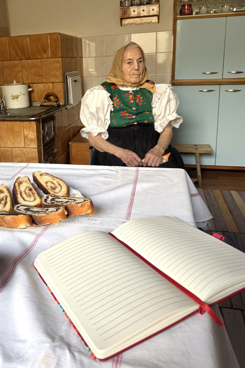 Notebook with a Pen – Petra Toth Foundation