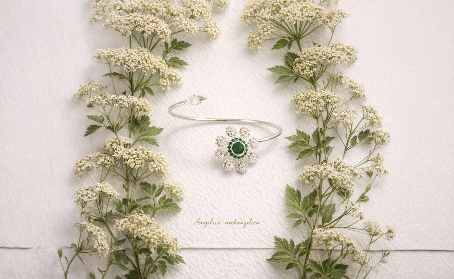 Thin bracelet Archangelica